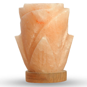 Rose Salt Lamp